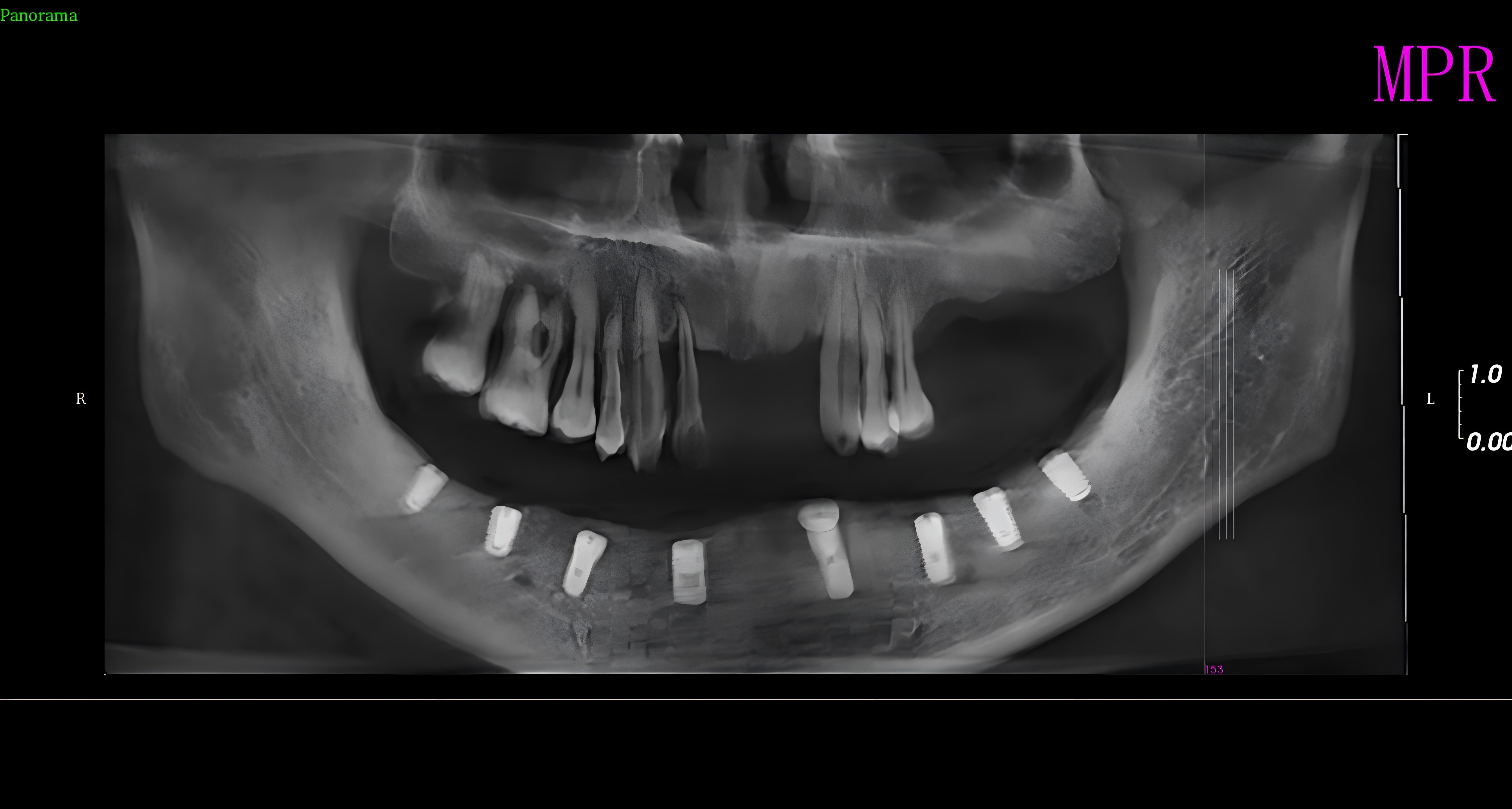 施树广_2026-6-11.jpg